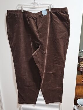 Avenue Women's Brown Corduroy Jeggings